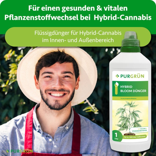 Purgrün Flüssigdünger für Hybrid-Cannabis, ein Liter Flasche für innen und außen, präsentiert von einem Gärtner.