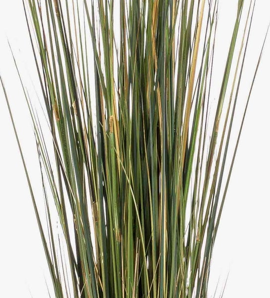 Künstliches Dekogras mit langen, schmalen Halmen.