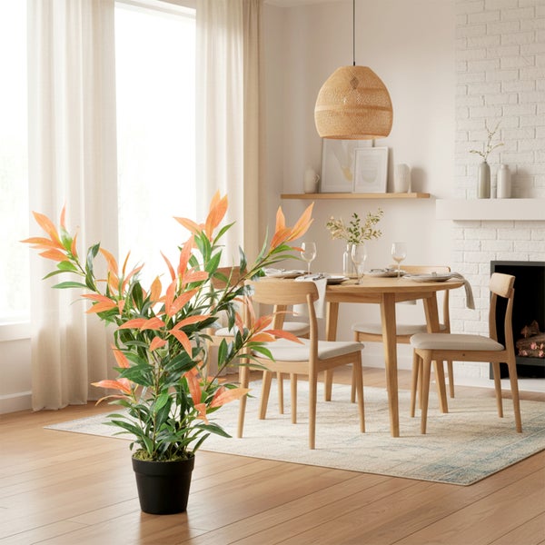 Helles Esszimmer mit Esstisch, Stühlen und Topfpflanze mit grünen und orangen Blättern