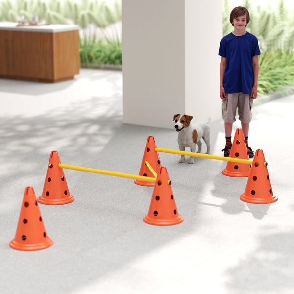Agility-Set für Hunde bestehend aus Kunststoffkegeln und Hürdenstangen auf einer Terrasse mit einem Kind und einem kleinen Hund.