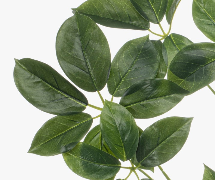 Detailaufnahme künstlicher Schefflera-Blätter aus Kunststoff.