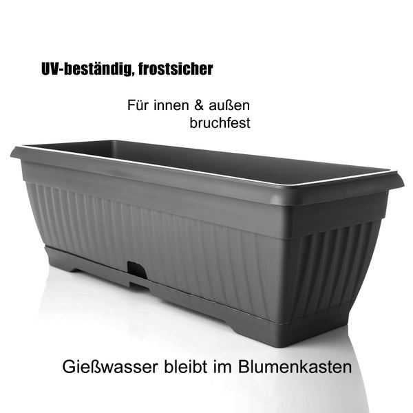 BigDean Blumenkasten mit abnehmbarem Untersetzer - Anthrazit 50 cm lang aus bruchsicherem Kunststoff - Balkonkasten Pflanzkasten mit Wasserspeicher für Innen- & Außenbereich geeignet - Made in Europe