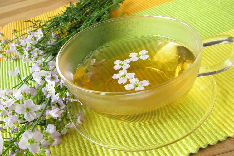 SAFLAX  - Wiesenschaumkraut - Cardamine pratensis - 100 Samen