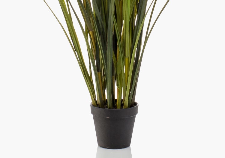 Künstliche Graspflanze im schwarzen Kunststofftopf