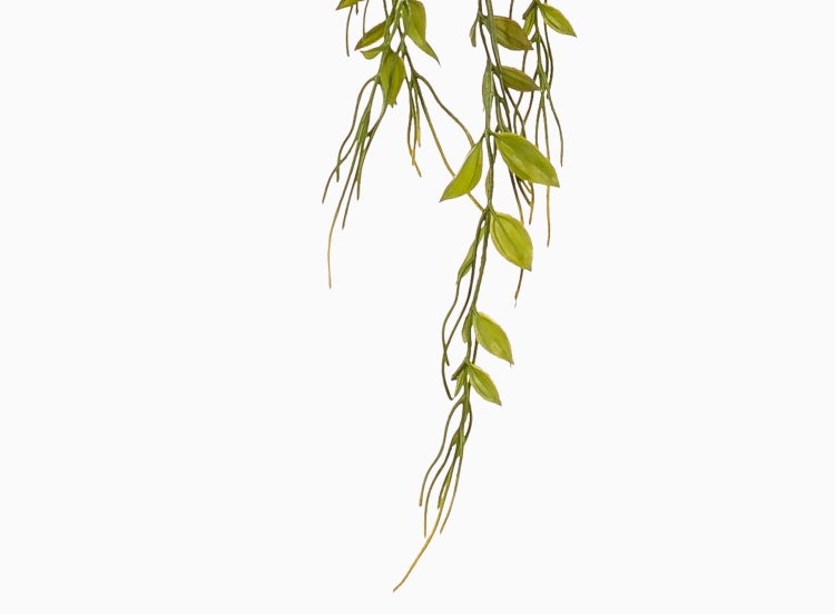 Künstliche Hängepflanze mit schmalen grünen Blättern