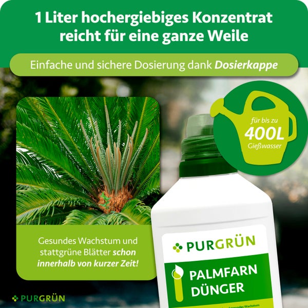 Purgrün Palmfarn Dünger 1 Liter, Flüssigdünger für kräftiges Wachstum, hergestellt in Deutschland, ausreichend für bis zu 400 Liter Gießwasser.