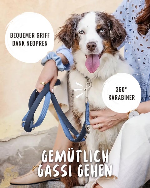Hundeleine mit gepolstertem Griff aus Neopren und 360 Grad Karabiner, präsentiert an einem Hund.