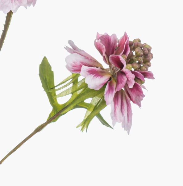 Künstlicher Zweig Scabiosa RUXTER, Hellrosa, 115cm - Kunst Scabiosazweig