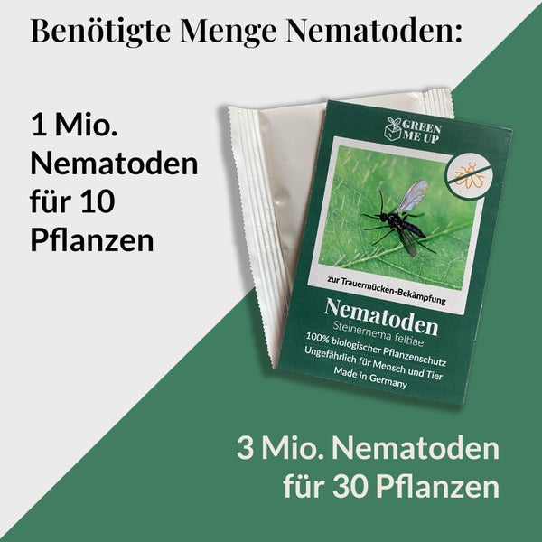 Starterset Trauermücken Adé: Nematoden und Gelbtafeln