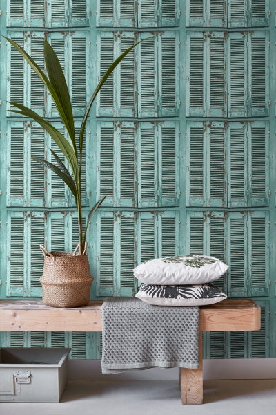 Dekoratives Interieur mit Pflanze, Kissen und Bank vor einer Fensterladen-Tapete