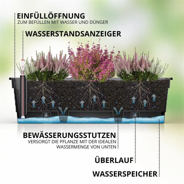 Querschnitt eines Blumenkastens mit Bewässerungssystem, Einfüllöffnung, Wasserstandsanzeiger, Bewässerungsstutzen, Überlauf und Wasserspeicher.