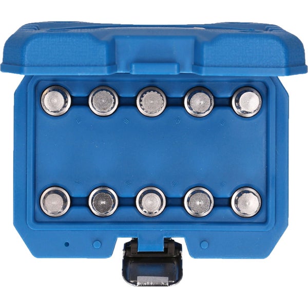 Satz mit zehn Knopfbatterien in blauer Aufbewahrungsbox