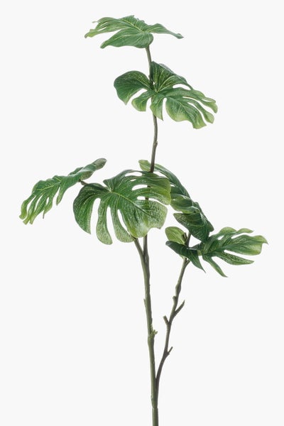 Schwarzer Kunststoff-Blumentopf mit grünen Pflanzenstielen.