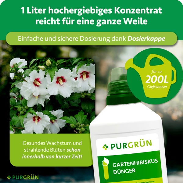 Purgrün Gartenhibiskus Dünger Konzentrat 1 Liter für circa 200 Liter Gießwasser mit Dosierkappe, Hibiskusblüten und Purgrün Logo.