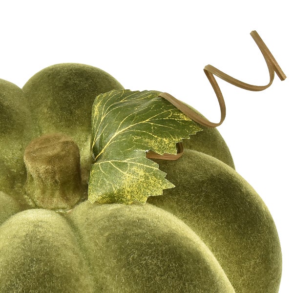 Dekorative Kürbis-Nahaufnahme mit Blatt und Ranke