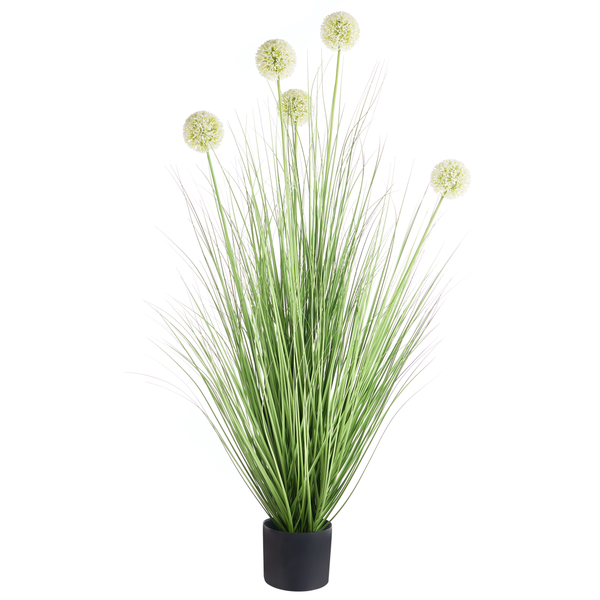 Künstliche Allium-Pflanze mit grünen Gräsern und weißen Blütenkugeln in einem schwarzen Topf.