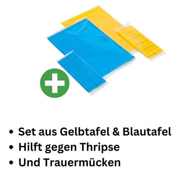 Blautafel & Gelbtafel Schädlingsbekämpfung Set 12x5 cm – Effektive Früherkennung & Prävention gegen Thripse, Fliegen & Schädlinge, 20 Stück