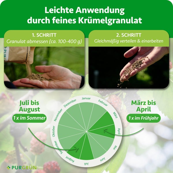 Anwendung von Krümelgranulat: Abmessen von circa 100 bis 400 Gramm und Verteilen. Zeitplan für März bis April und Juli bis August. PURGRÜN Logo.