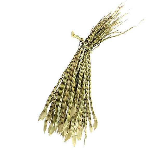 Bund aus getrockneten, spiralförmig gedrehten Palmwedeln für die Dekoration.
