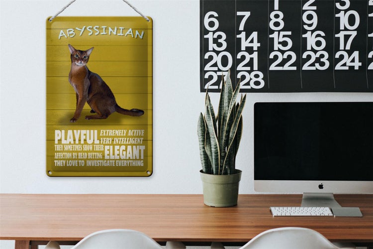 Blechschild Spruch 20x30cm Abyssinian Katze playful elegant