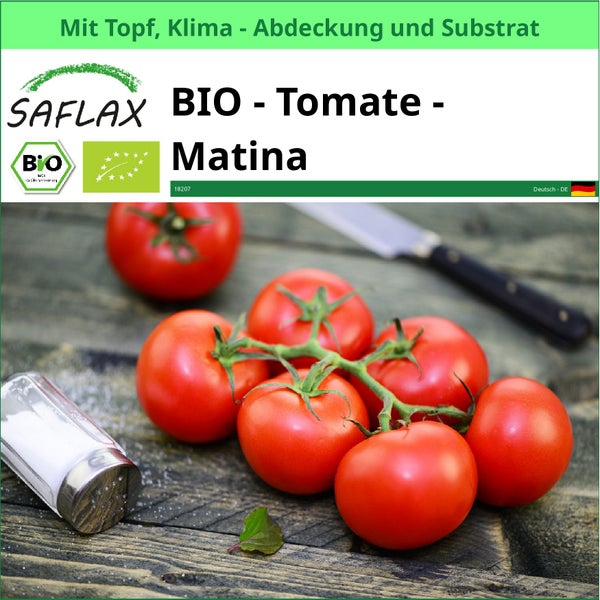 SAFLAX Garden to go - BIO - Tomate - Matina - Solanum lycopersicum - 10 Samen - Mit Topf, Klima - Deckel und Anzuchtsubstrat