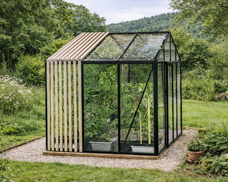 Modernes Gewächshaus mit schwarzem Metallrahmen, Glaswänden und Verkleidung aus hellen Holzlatten, stehend auf Kies in einem Garten.
