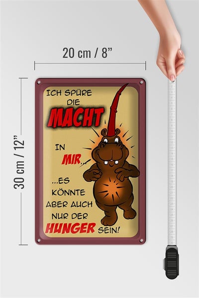 Blechschild Spruch 20x30cm Ich spüre die Macht in mir