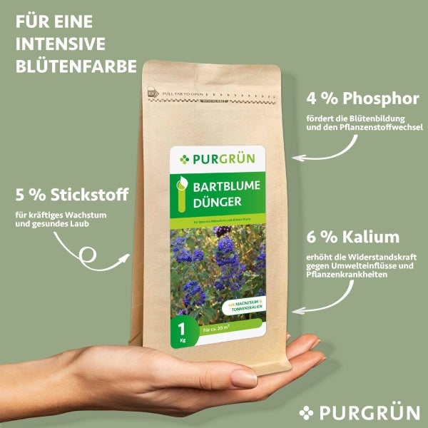 Purgrün Bartblume-Dünger 1 kg