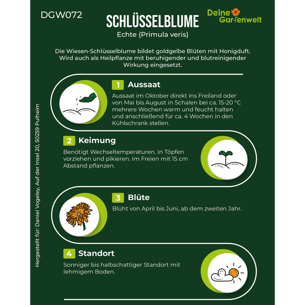 Infografik zur Echten Schlüsselblume mit Hinweisen zu Aussaat, Keimung, Blüte und Standort. Deine Gartenwelt Logo.