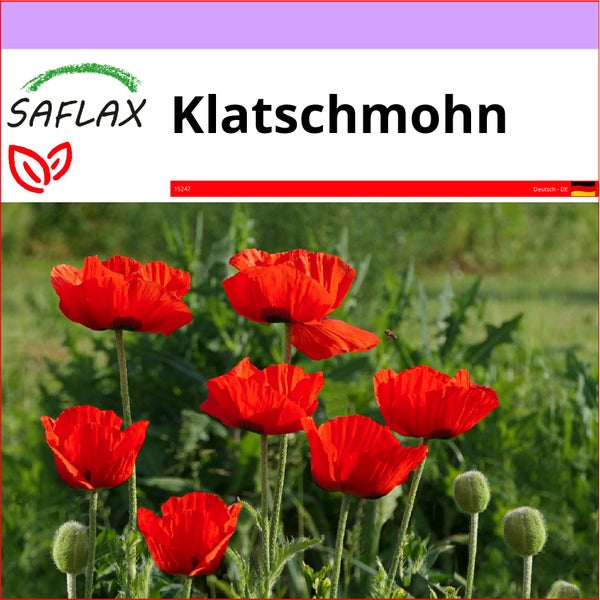 SAFLAX  - Klatschmohn - Papaver rhoeas - 27000 Samen