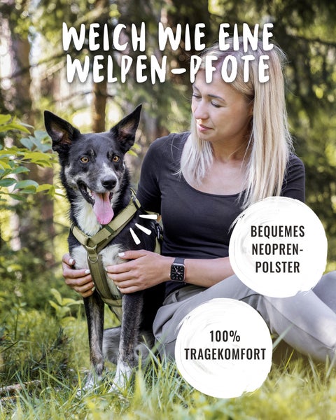 Frau hält Hund mit Hundegeschirr im Arm