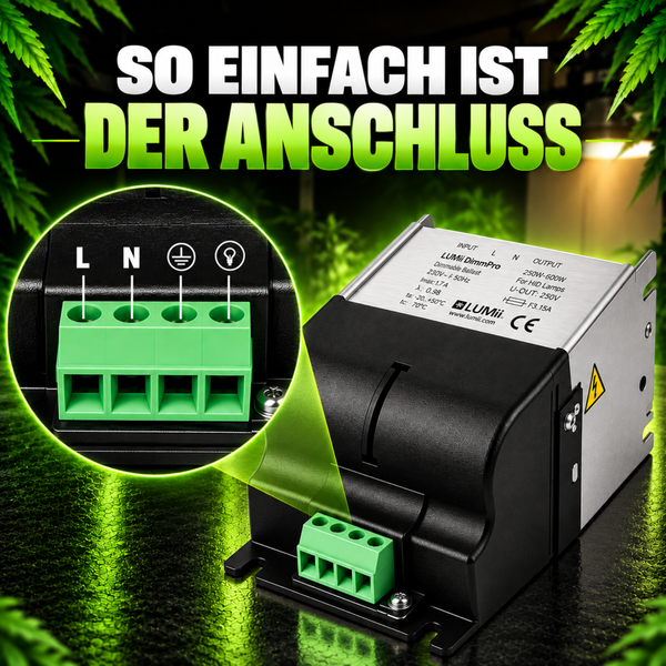 Gabionenkorb aus Metalldraht
