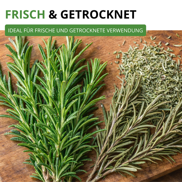 Frischer und getrockneter Rosmarin auf einem Holzbrett, ideal für die frische und getrocknete Verwendung.