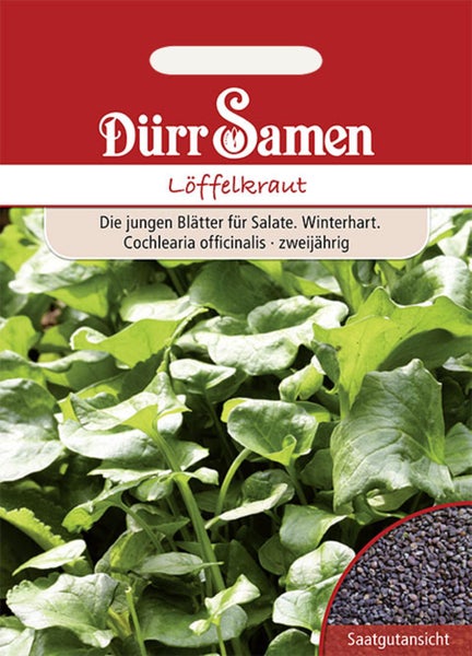 Samentüte Löffelkraut der Marke Dürr Samen mit grünen Blättern und einer Detailansicht der dunklen Samen.