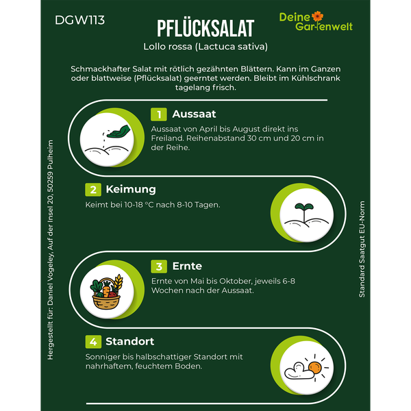 Infografik für Pflücksalat Lollo rossa von Deine Gartenwelt mit Hinweisen zu Aussaat, Keimung, Ernte und Standort.