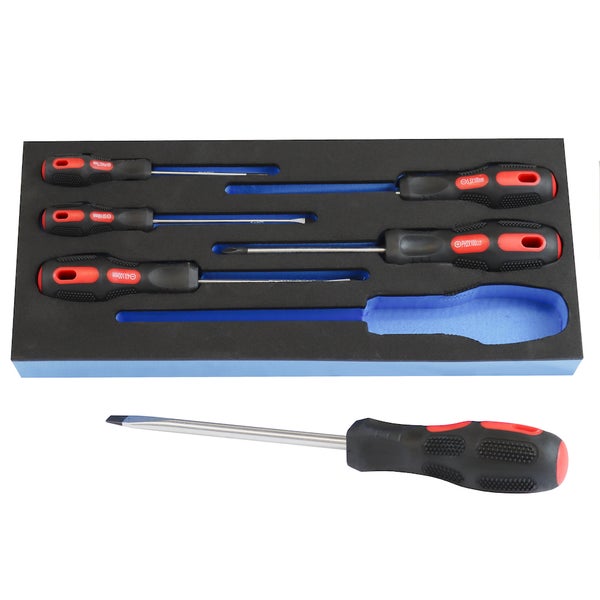 PROREGAL Werkzeug Satz Werkstattwagen Cheetah Schraubendrehersatz 6 Teile mit Schaumstoff Schubladeneinlage HxBxT 4,6 x 34 x 12,5 cm