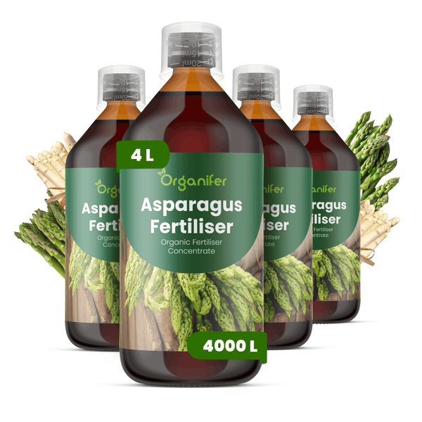 Vier Flaschen Organifer Spargeldünger, organisches Düngerkonzentrat, 4 Liter für circa 4000 Liter Lösung.