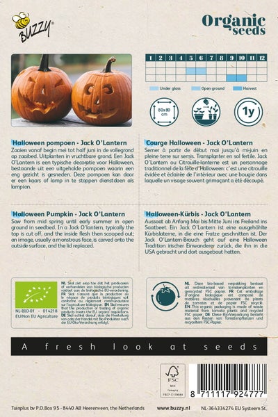 Halloween Kürbis Jack O'Lantern Samenpackung