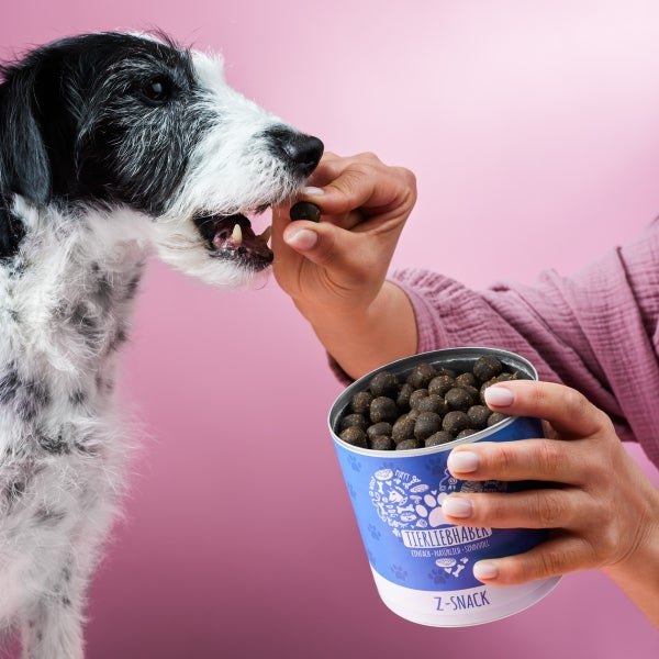 Abbildung eines Behälters Tierliebhaber Z-Snack für Hunde, umgeben von Zutaten wie Kokosraspeln, Schwarzkümmelöl, Rosmarin, Zistrosenkraut, Lavendel und Wermut.