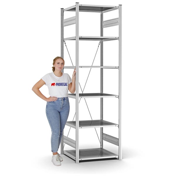 PROREGAL Profi Lagerregal Stecksystem T-Profil Grundregal HxBxT 250 x 75 x 60 cm Fachlast 125 kg Verzinkt