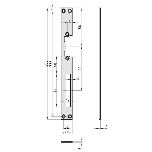 BASI Flachschließblech FLB 950 Edelstahl käntig rechts/links verwendbar 250x25x3 mm für Elektro Türöffner