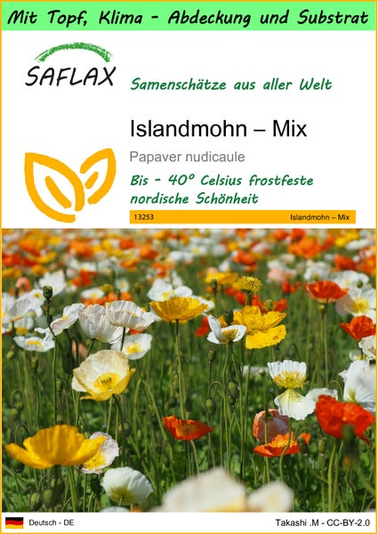 SAFLAX Garden to go - Islandmohn – Mix - Papaver nudicaule - 8000 Samen - Mit Topf, Klima - Deckel und Anzuchtsubstrat