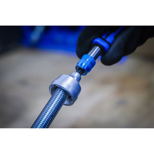 Echter Rosmarin mit Pflanzenpass