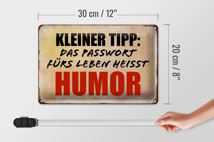 Blechschild Spruch 30x20cm kleiner Tipp das Passwort Humor