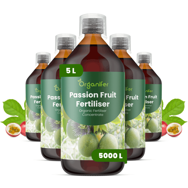 Organifer Passionsfrucht-Dünger, 5 Liter Konzentrat für 5000 Liter, biologisches Flüssigdüngerkonzentrat in braunen Flaschen.