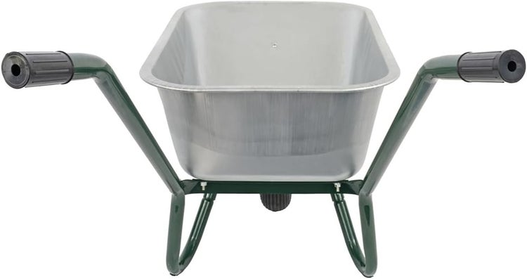 Nahaufnahme einer Tellerhortensie mit weißen Randblüten und violetten inneren Blüten