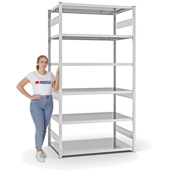 PROREGAL Fachbodenregal Stecksystem T-Profil Heavy-Duty Grundregal HxBxT 250 x 130 x 80 cm 6 Ebenen Fachlast 330 kg Beidseitig Nutzbar Lichtgrau