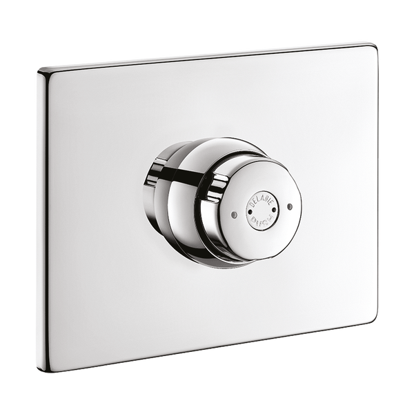 Delabie Betätigungsplatte mit Druckknopf für Urinal oder Toilette aus verchromtem Metall, rechteckig.