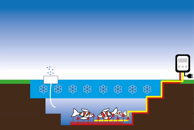 Darstellung eines gefrorenen Gartenteichs mit Fischen und Teichheizung
